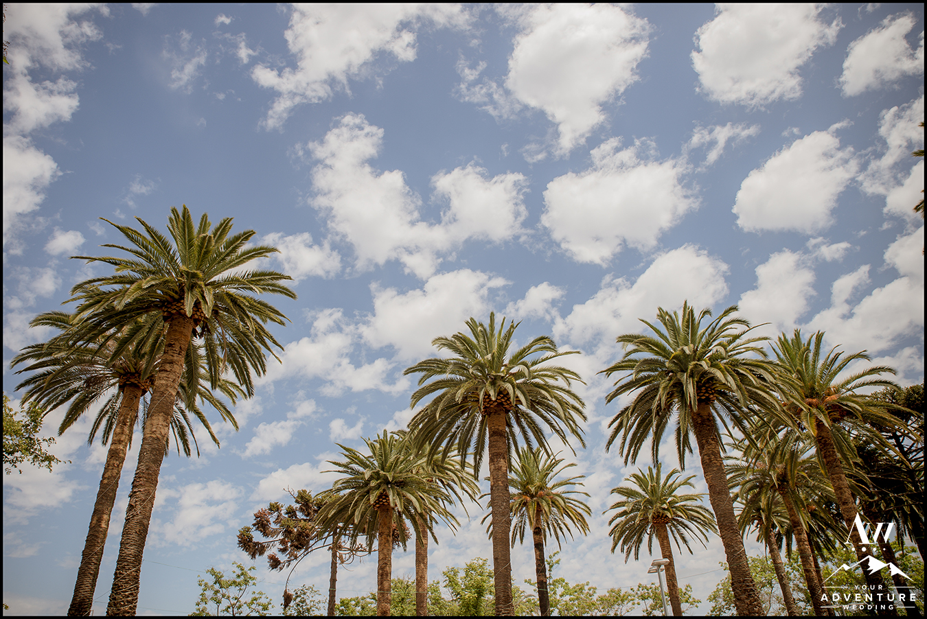 adventure weddings & elopements in Chile