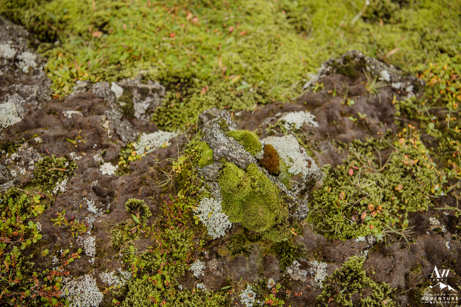 Iceland Wedding Ceremony at a Secret Waterfall