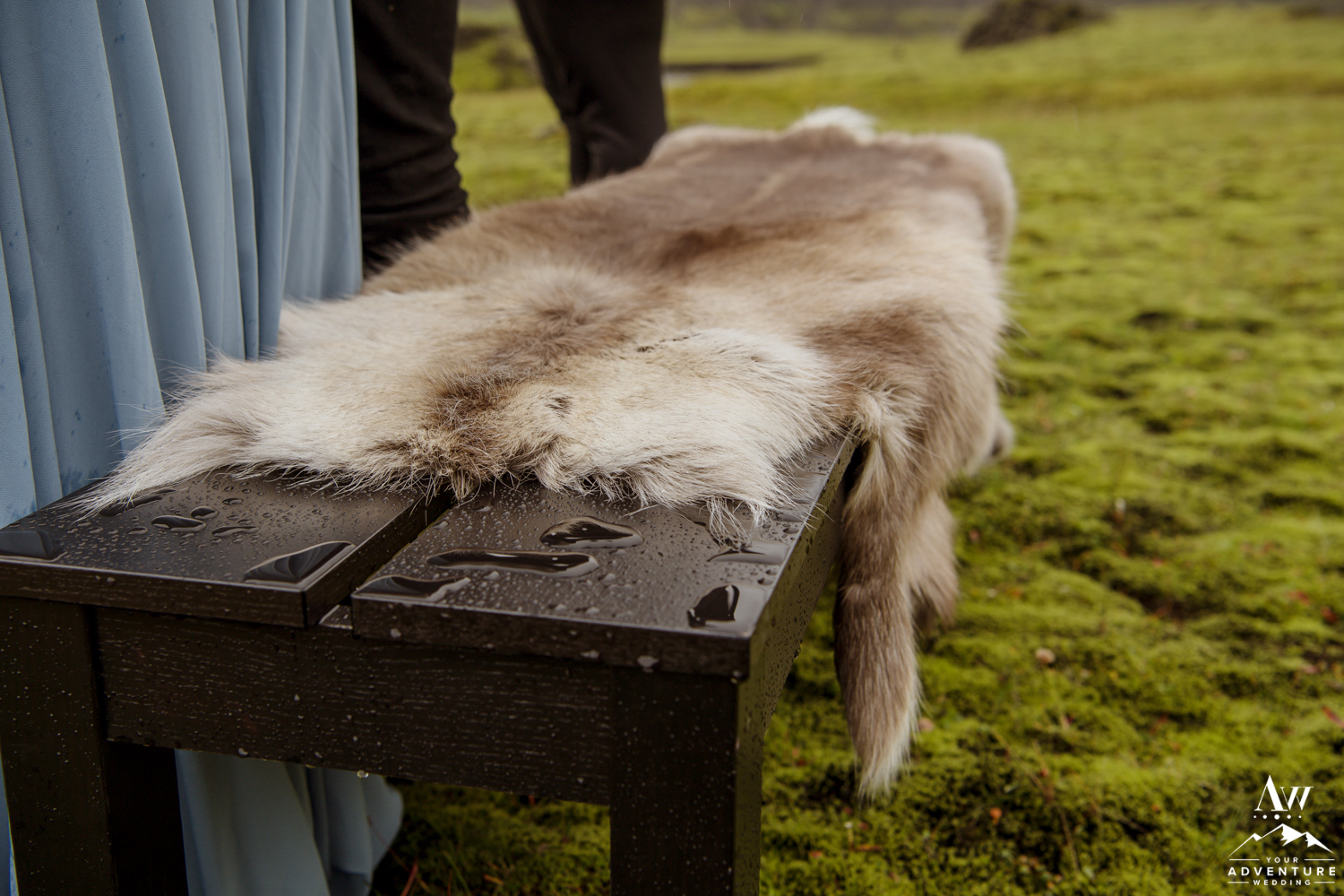 Iceland Wedding Ceremony Decor