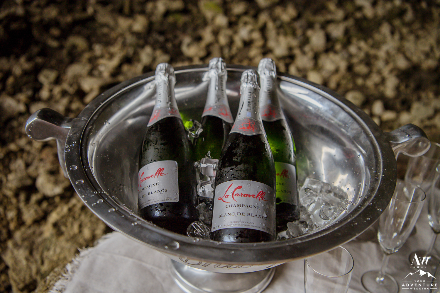 Iceland Wedding Champagne Toast