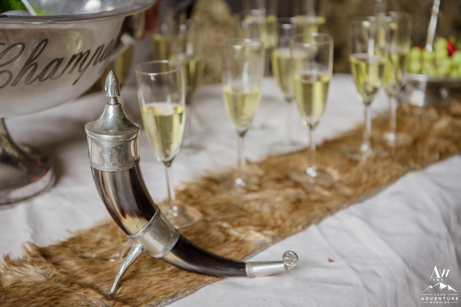 Iceland Wedding Champagne Toast
