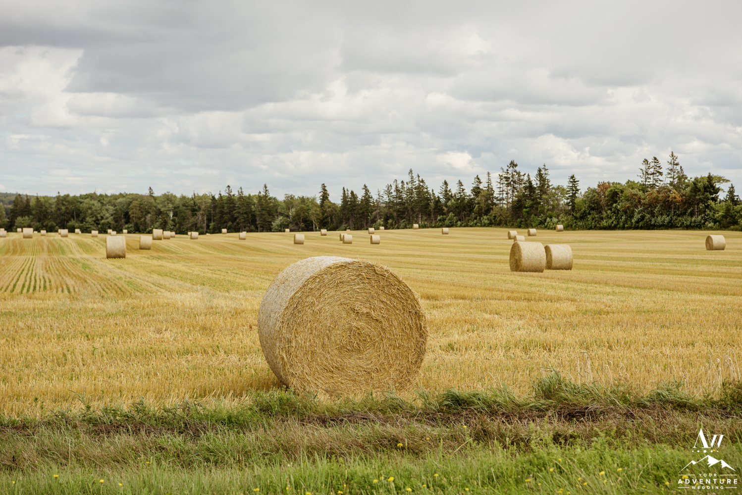 Adventure Wedding in Canada