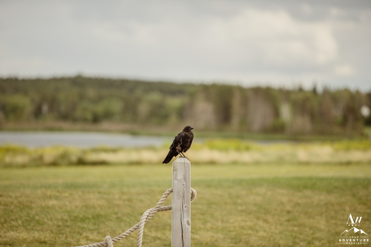 PEI Wedding Photos