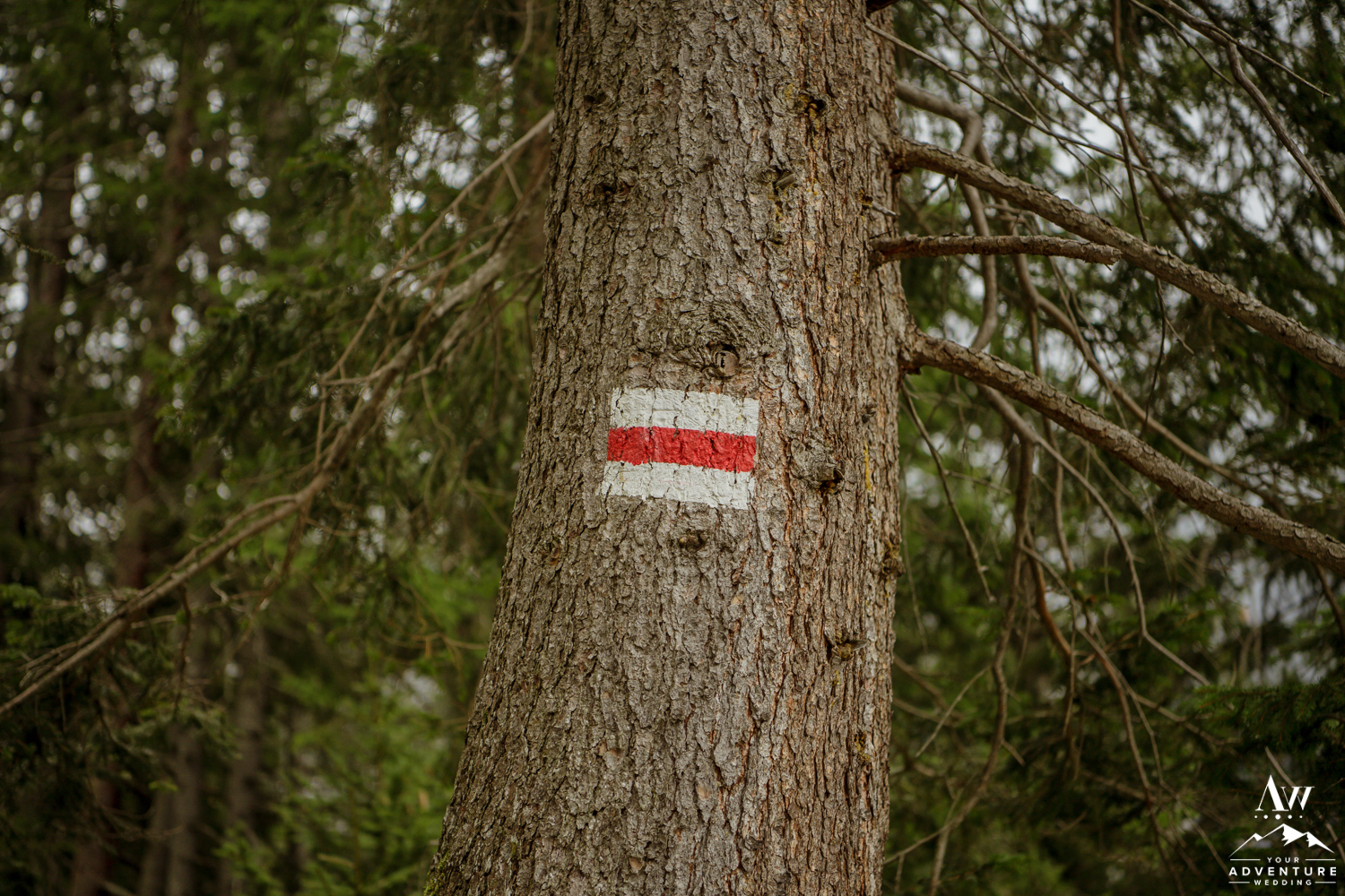 Hiking to oeschinensee lake