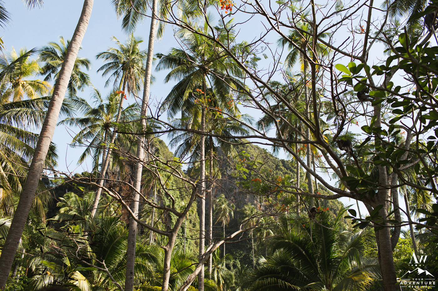 The property and landscape at Rayavadee Railay Beach