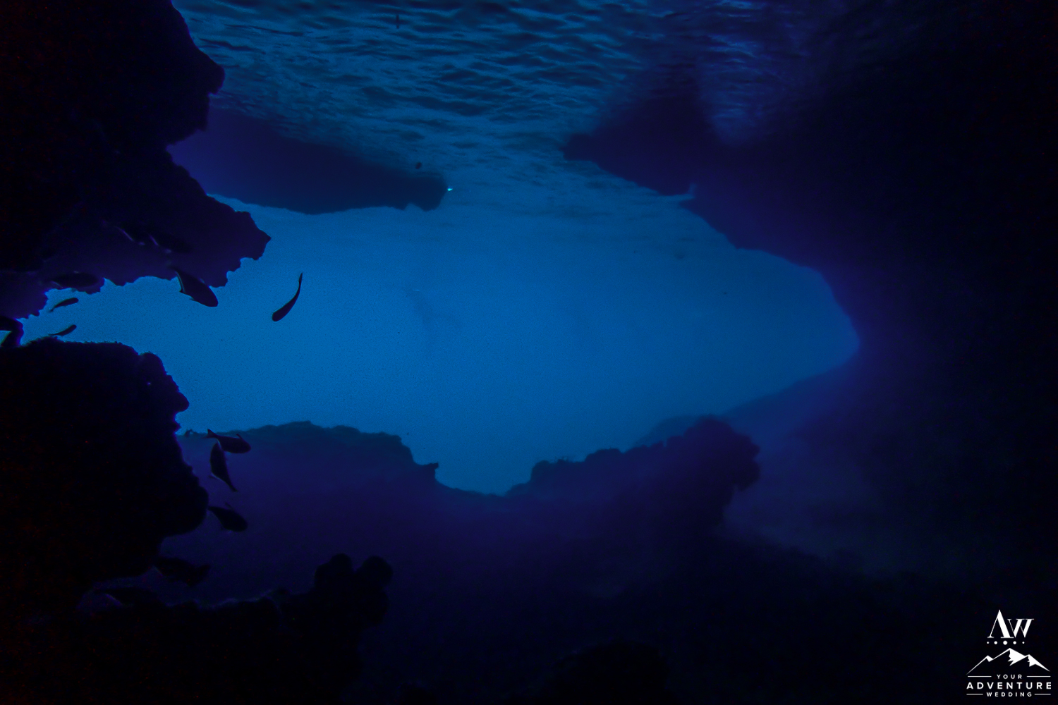 Underwater Wedding in Similan Islands Thailand