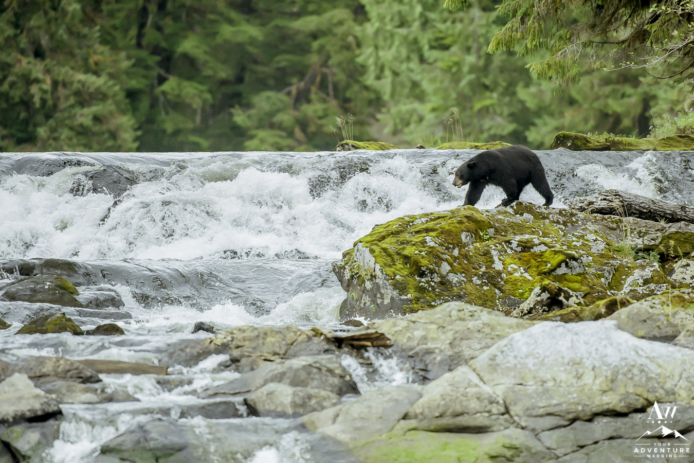 Adventure Weddings & Elopements in North America