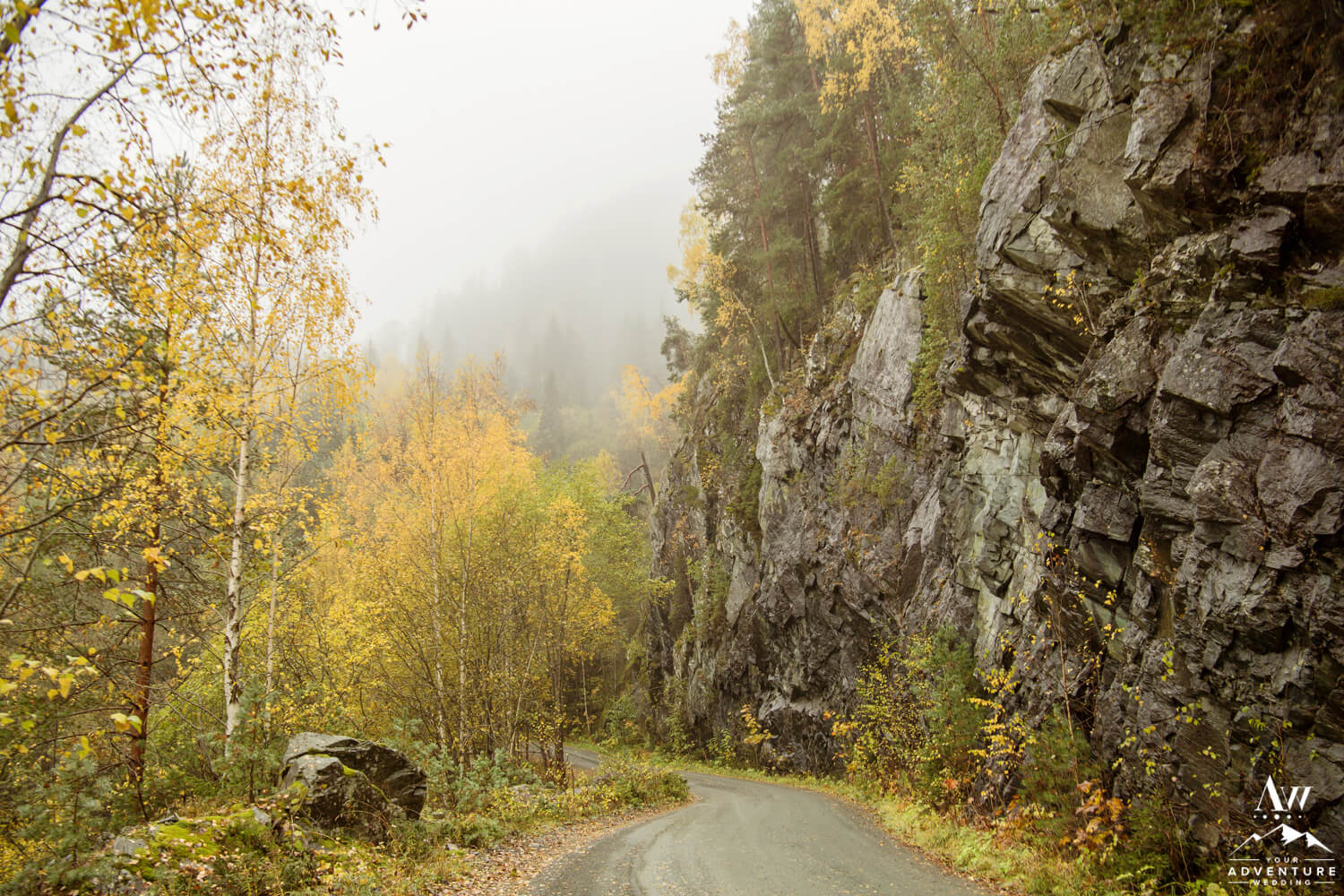 Misty Fjord Road in Norway
