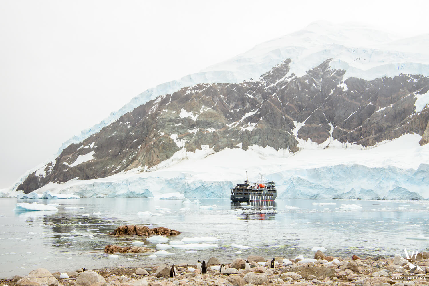 Magellan Explorer Luxury Ship Antarctica