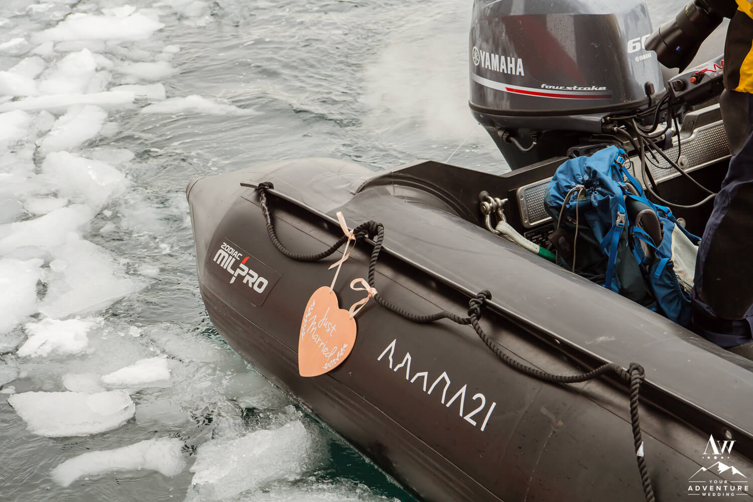Just Married Sign for Antarctica Wedding