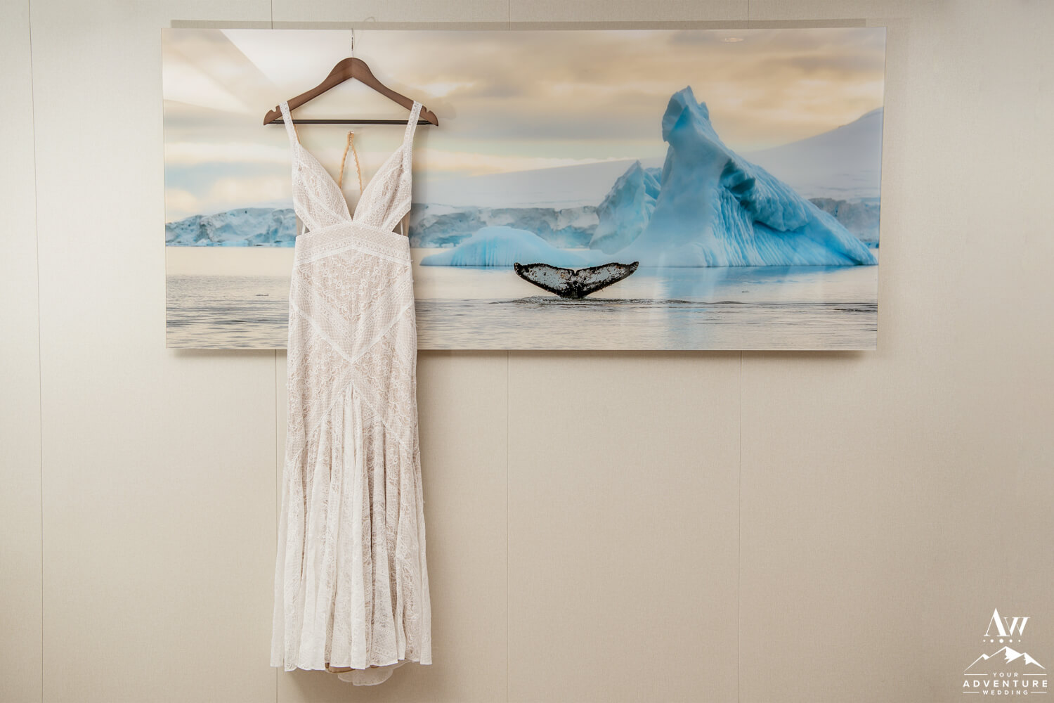 Antarctica Wedding Dress Hanging