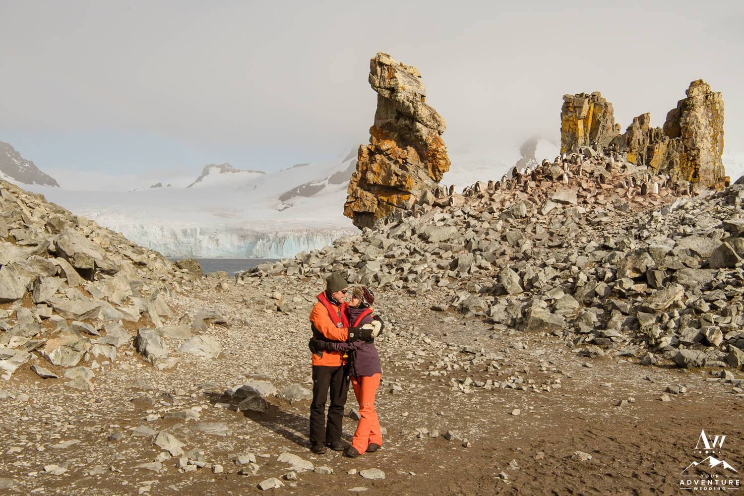 Couple explores penguin colony during Antarctica elopement