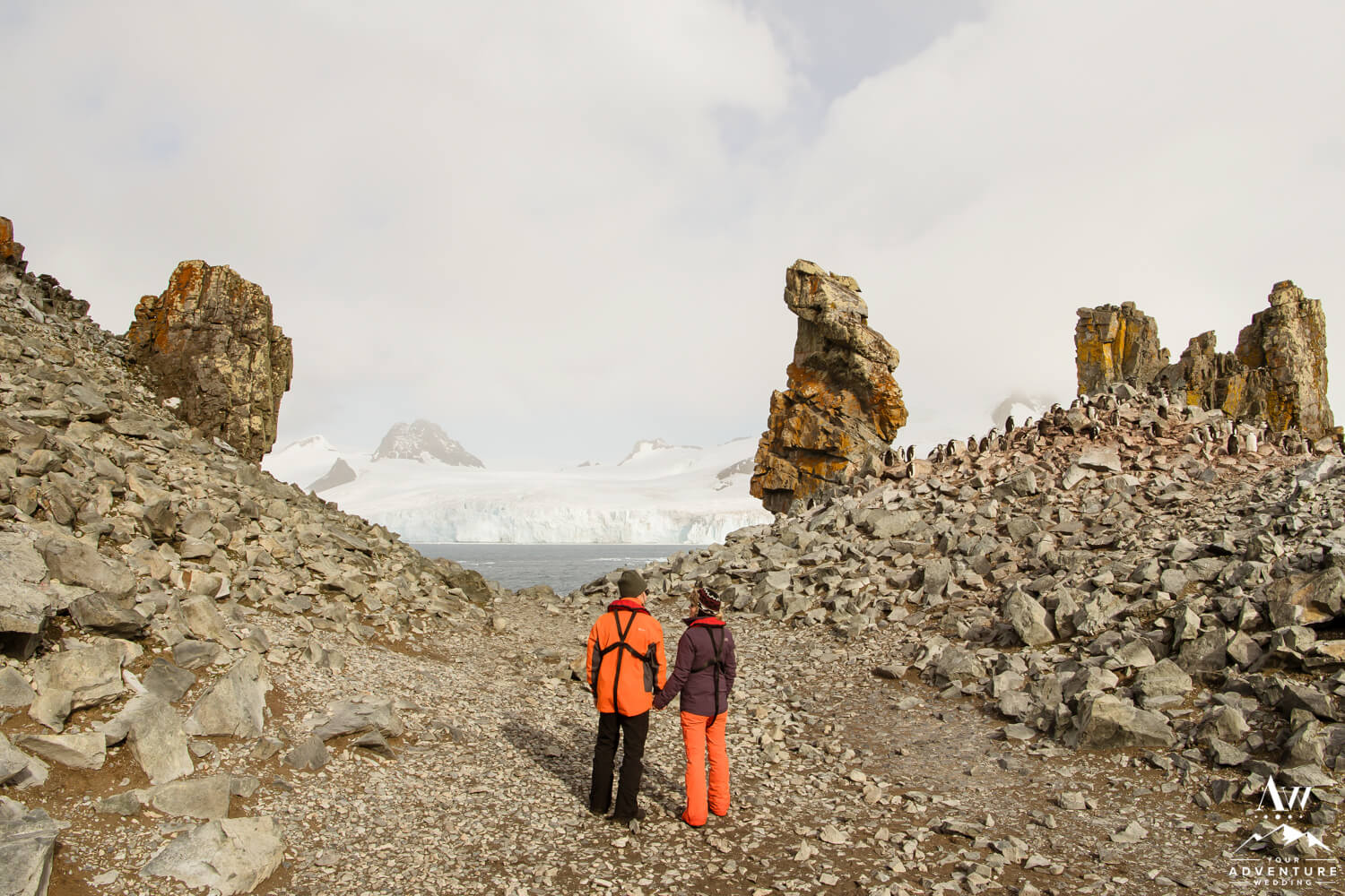 Antarctica Wedding Expedition Photos