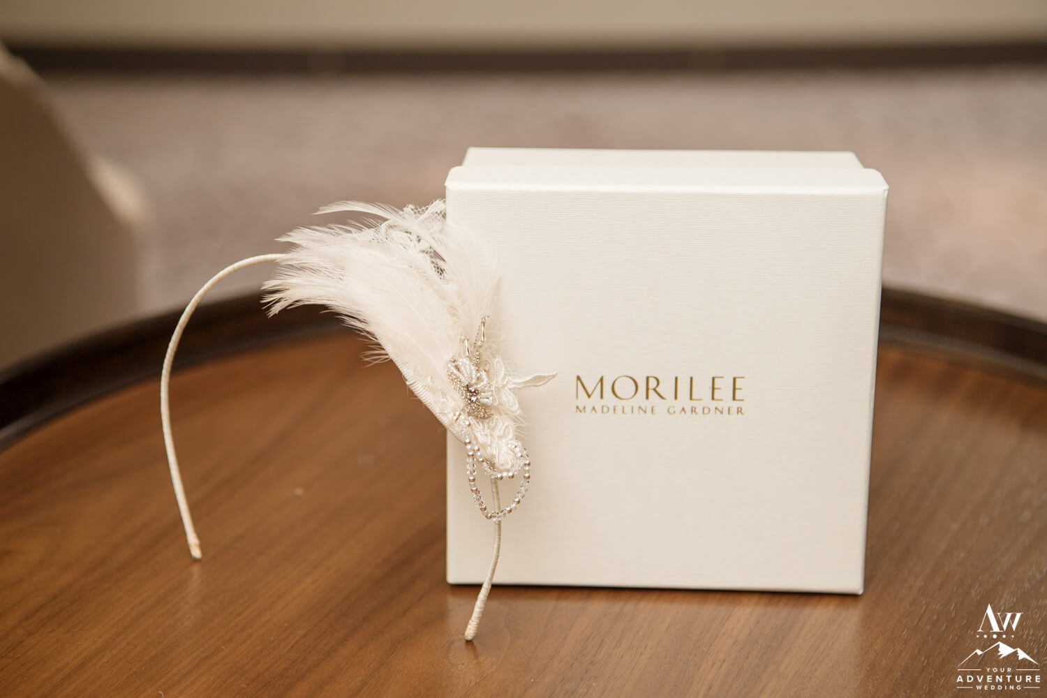 Antarctica Wedding Bride Details