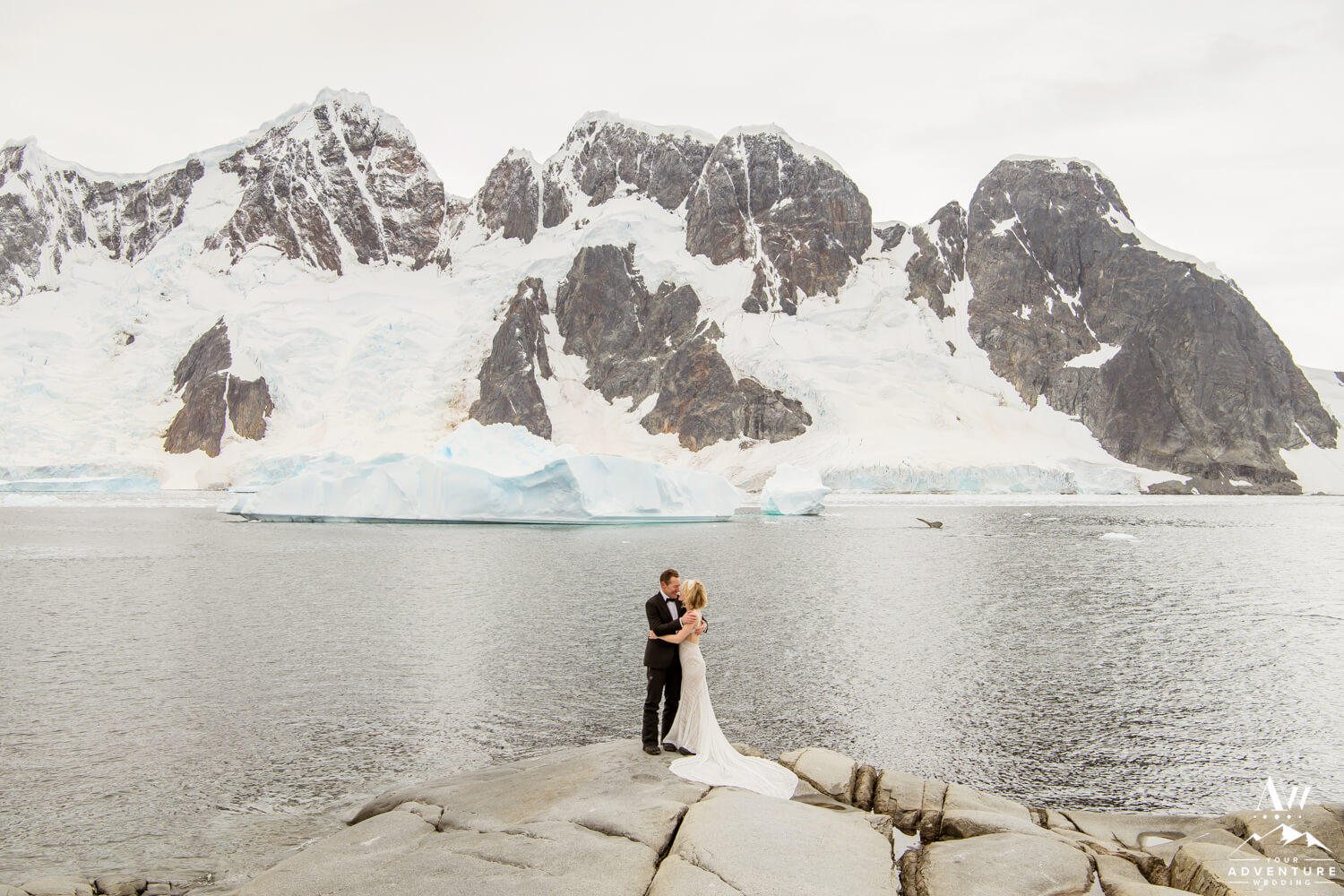 Antarctica Wedding Couple during ceremony whales jumping
