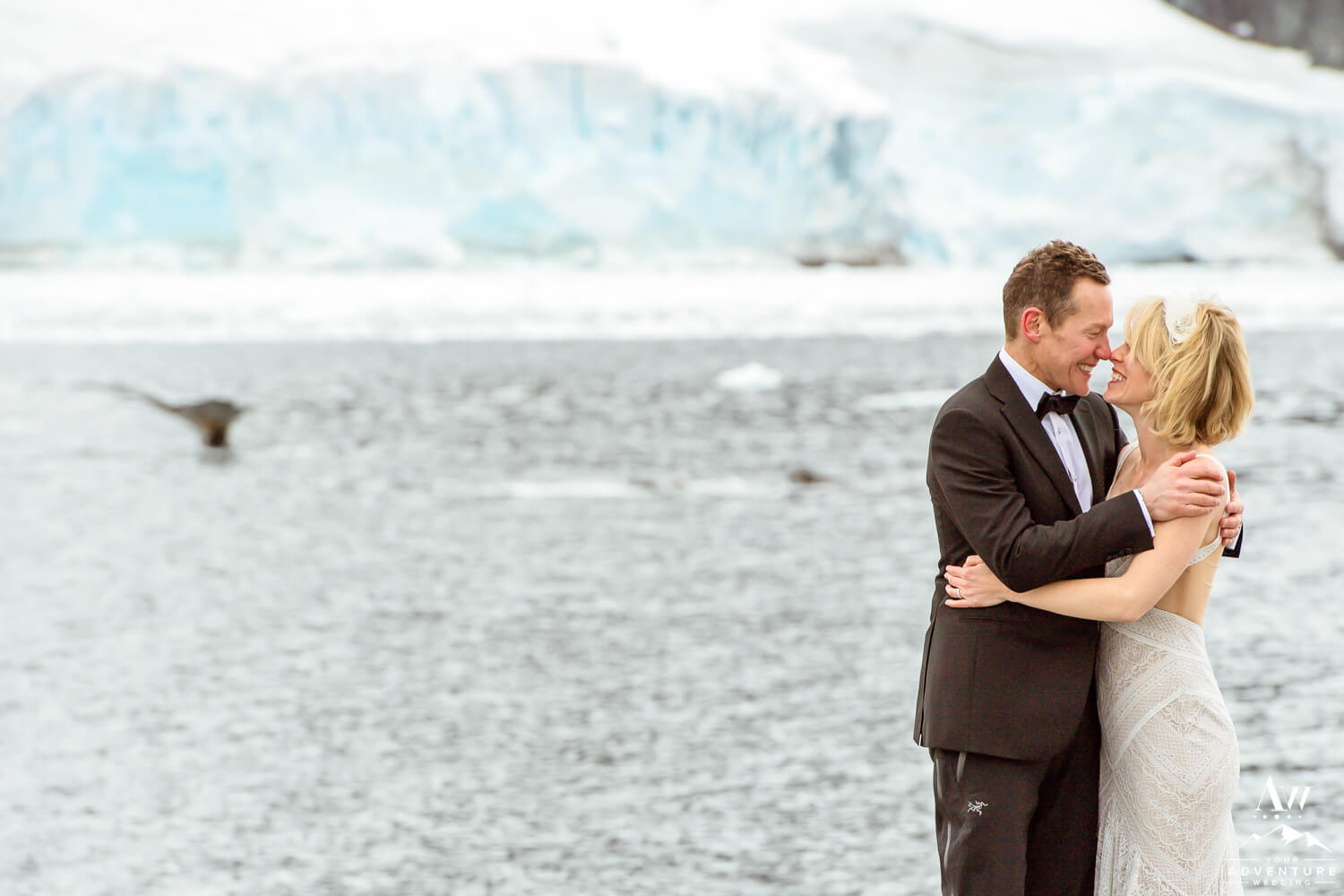 Whales Jumping during Antarctica Wedding Expedition