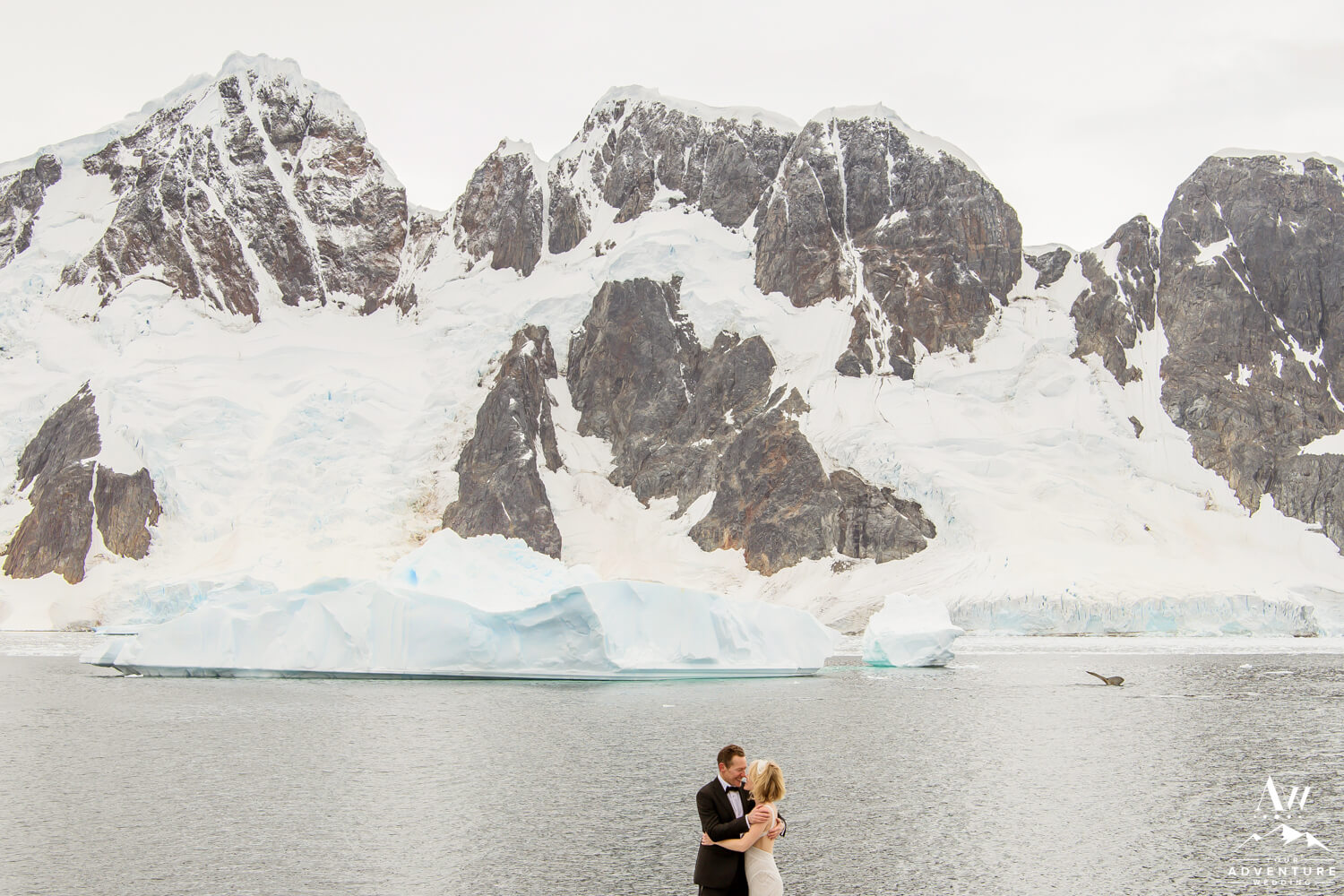 Whales Jumping during Antarctica Wedding Photos
